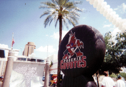 Phoenix Coyotes